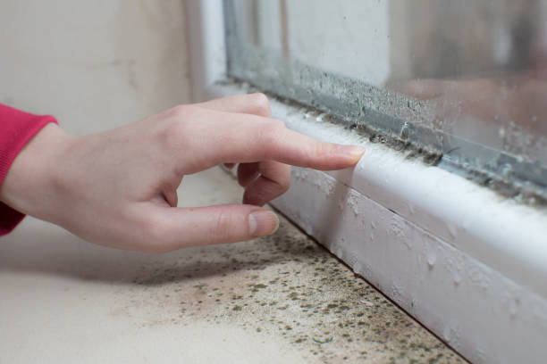 Best Comprehensive Air Testing for Mold Contaminants  in Jarrettsville, MD