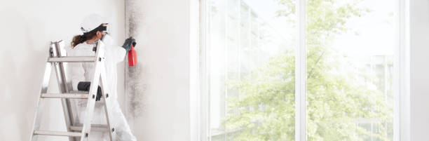Best Biohazard Mold Removal  in Jarrettsville, MD